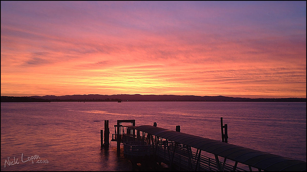 Wedding Sunset from Northcote Point at The Wharf